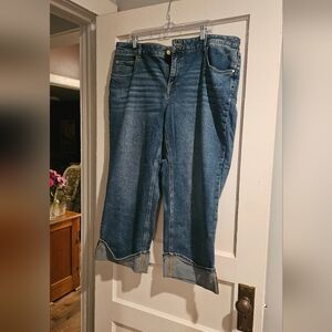 Talbot's Ankle Cuff Women's Jeans, Size 16W